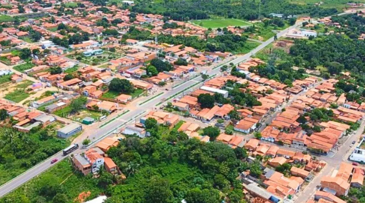 WhatsApp Image 2026-01-31 at 09.29.04