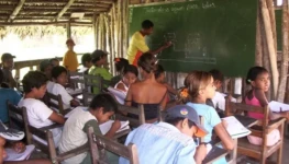 49188882811_89b4a1beee_z