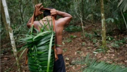 fda97f6a-6cb8-4cca-b72a-89744ef67519