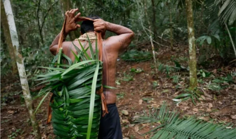 fda97f6a-6cb8-4cca-b72a-89744ef67519