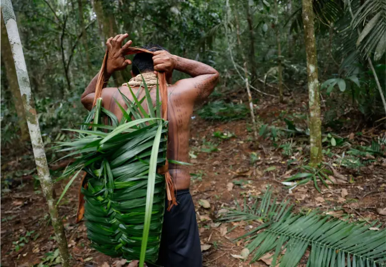 fda97f6a-6cb8-4cca-b72a-89744ef67519