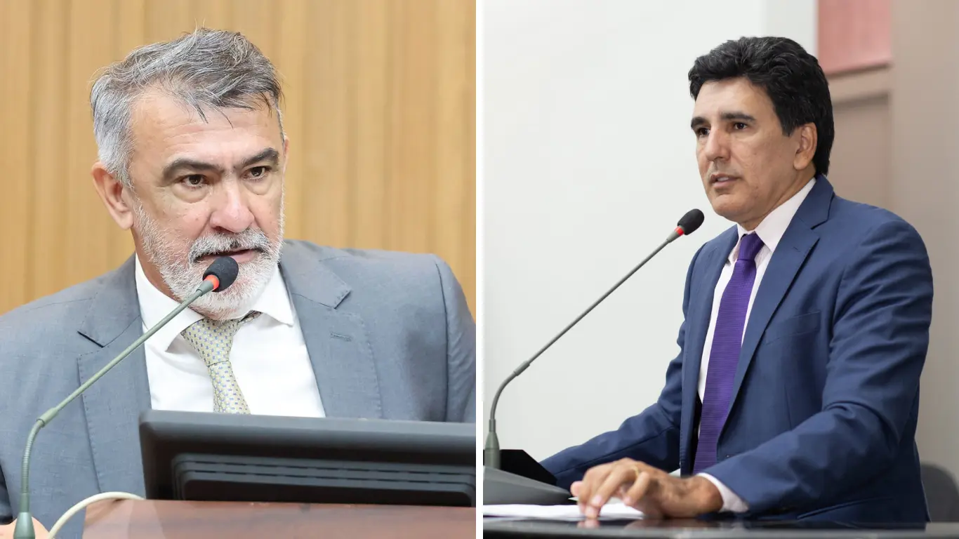 Galeria de 6 Imagens (26)