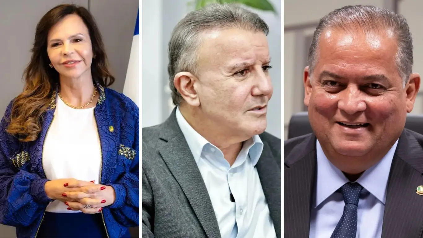 Galeria de 6 Imagens (6)