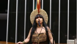 img20260210200616459-768x474