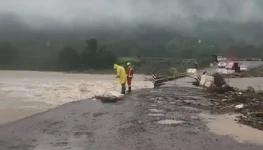 saveclip.app_509637534_1208714933913913_3831487629740209890_n