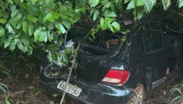 Screenshot 2026-02-16 162313