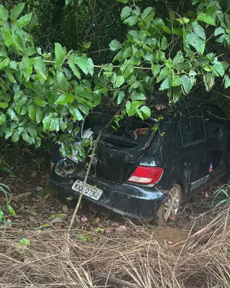 Screenshot 2026-02-16 162313