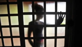 violencia_crianca_marcello_casal_jr