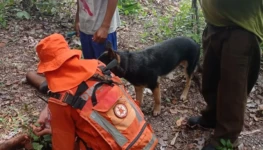 WhatsApp Image 2026-02-05 at 21.03.31