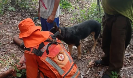 WhatsApp Image 2026-02-05 at 21.03.31