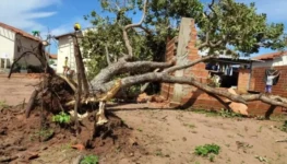 WhatsApp Image 2026-02-06 at 15.49.52