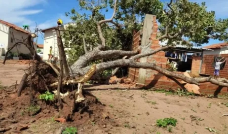 WhatsApp Image 2026-02-06 at 15.49.52