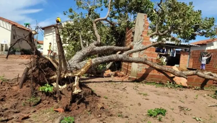 WhatsApp Image 2026-02-06 at 15.49.52