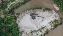 WhatsApp Image 2026-02-07 at 11.09.11