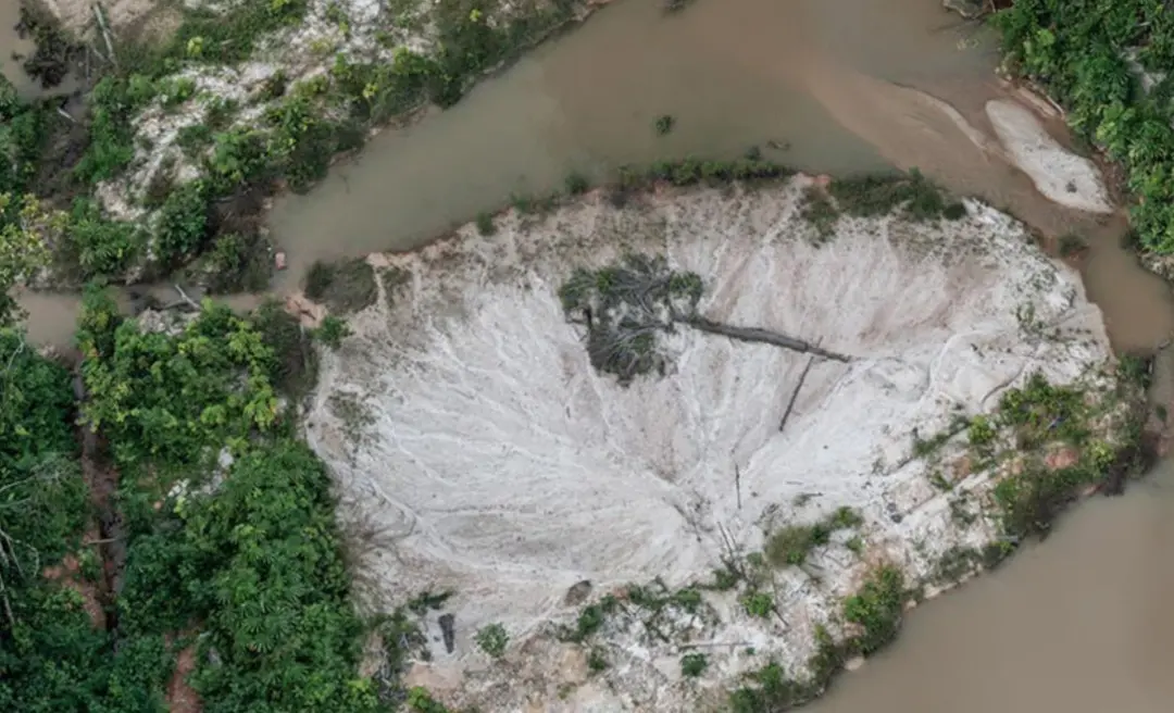 WhatsApp Image 2026-02-07 at 11.09.11