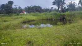 WhatsApp Image 2026-02-08 at 08.45.14