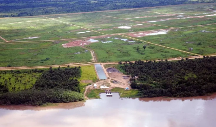 WhatsApp Image 2026-02-12 at 18.35.25