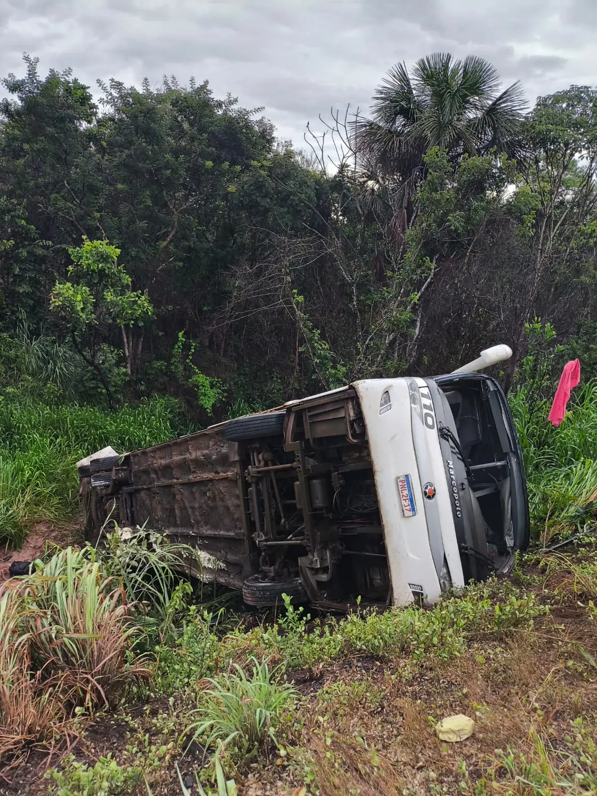 WhatsApp Image 2026-02-14 at 12.06.53