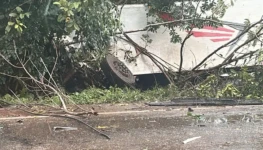 WhatsApp Image 2026-02-16 at 15.37.17