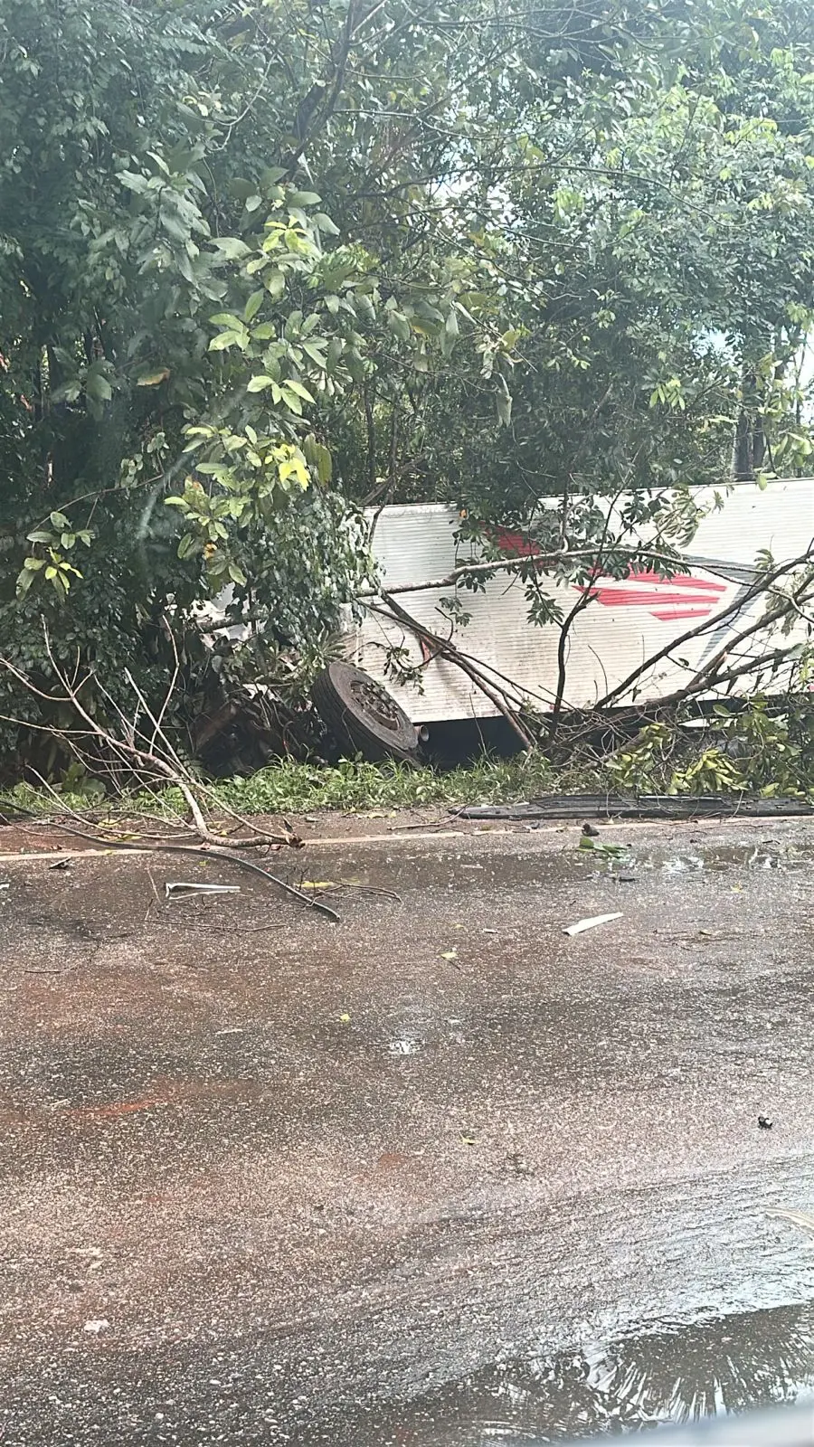 WhatsApp Image 2026-02-16 at 15.37.17