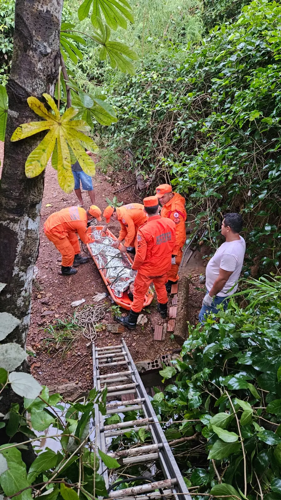 WhatsApp Image 2026-02-17 at 17.38.45