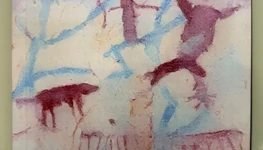 WhatsApp Image 2026-02-20 at 17.14.05