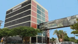 WhatsApp Image 2026-02-26 at 15.18.48