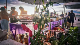 17-IMG-20250310-WA0185