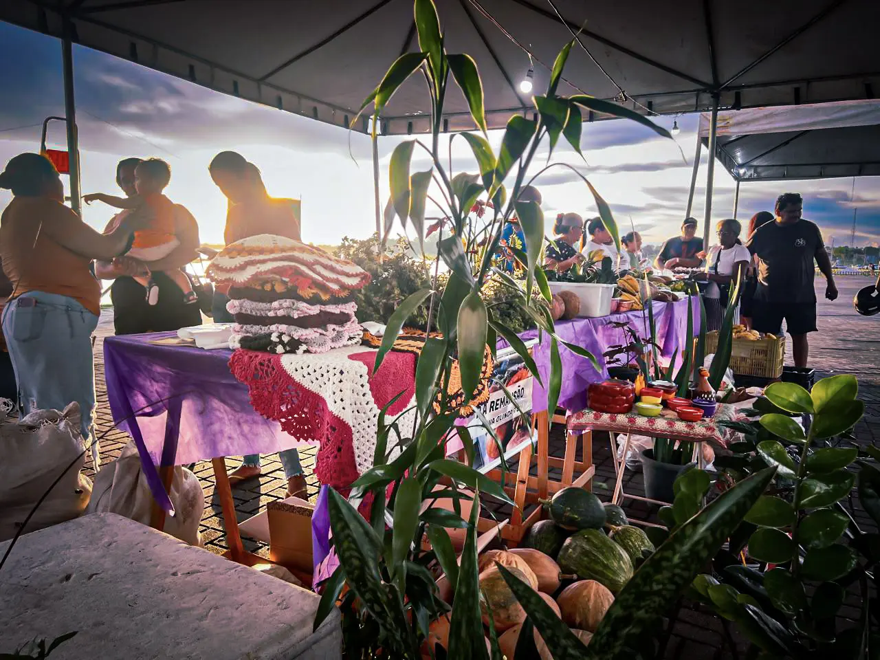 17-IMG-20250310-WA0185