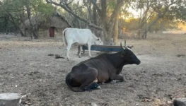 a6e688ea-4371-4b58-ac2d-5770b2d89d18