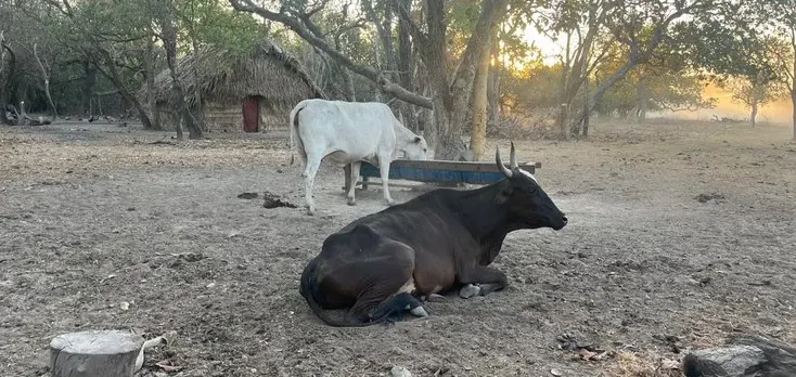 a6e688ea-4371-4b58-ac2d-5770b2d89d18