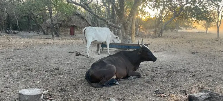 a6e688ea-4371-4b58-ac2d-5770b2d89d18