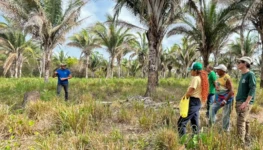Consorcio-Babacu-Livre-fortalece-trabalho-de-mulheres-quebradeiras-de-coco-no-Maranhao-e-Tocantins-1