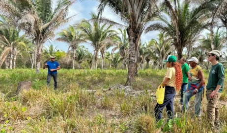 Consorcio-Babacu-Livre-fortalece-trabalho-de-mulheres-quebradeiras-de-coco-no-Maranhao-e-Tocantins-1