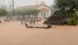 F6 enchente-reprodução video