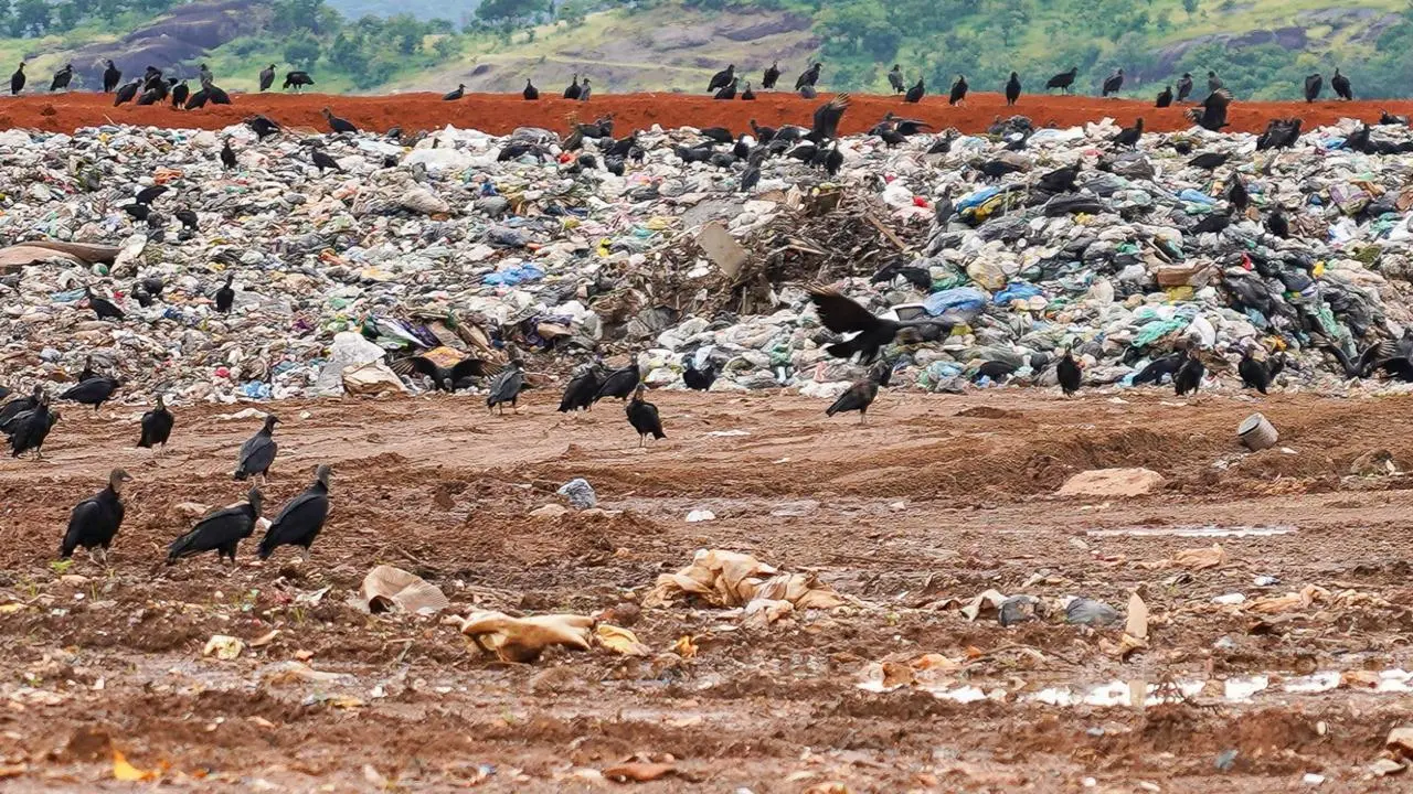 Foto Marcelo de Deus