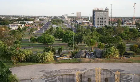 palmas