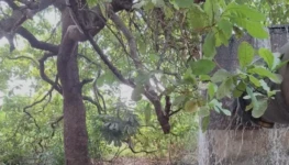 screenshot-2025-10-14-154434