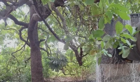 screenshot-2025-10-14-154434