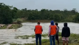 WhatsApp Image 2026-03-01 at 16.11.45