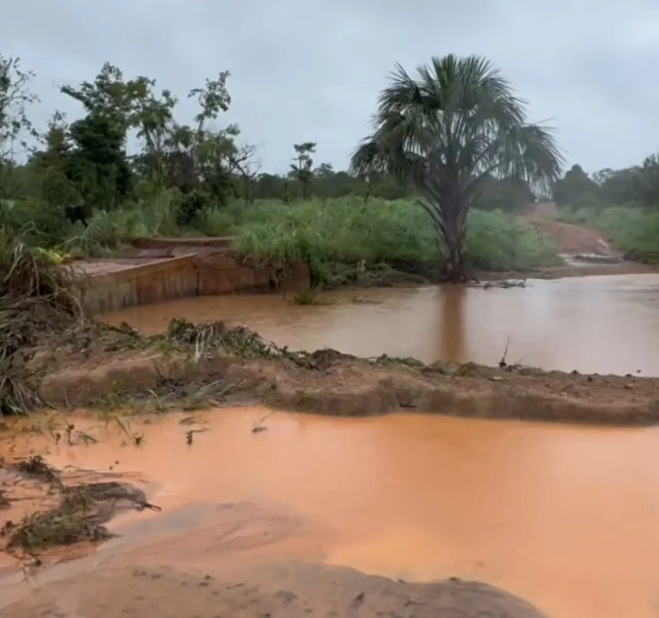 WhatsApp Image 2026-03-02 at 07.53.30