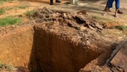 WhatsApp Image 2026-03-04 at 20.28.24