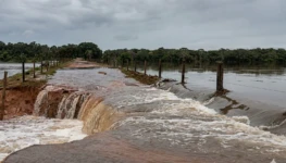 WhatsApp Image 2026-03-09 at 08.45.55