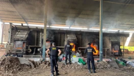 WhatsApp Image 2026-03-30 at 13.46.33 (2)