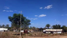 37153275932_dcb3bd4b8b_b-2