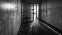 4559fdd2-d5b6-4d96-8a15-1f3b3d8317aa