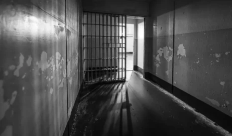 4559fdd2-d5b6-4d96-8a15-1f3b3d8317aa