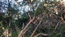 59b9e41e-c7d7-423e-9242-2d33ad3cee26