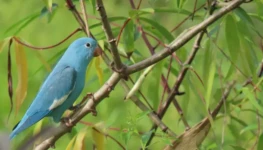 5b27f8ba-bb06-4b20-aeb7-514be039930c