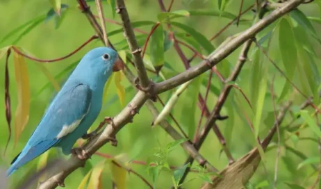 5b27f8ba-bb06-4b20-aeb7-514be039930c